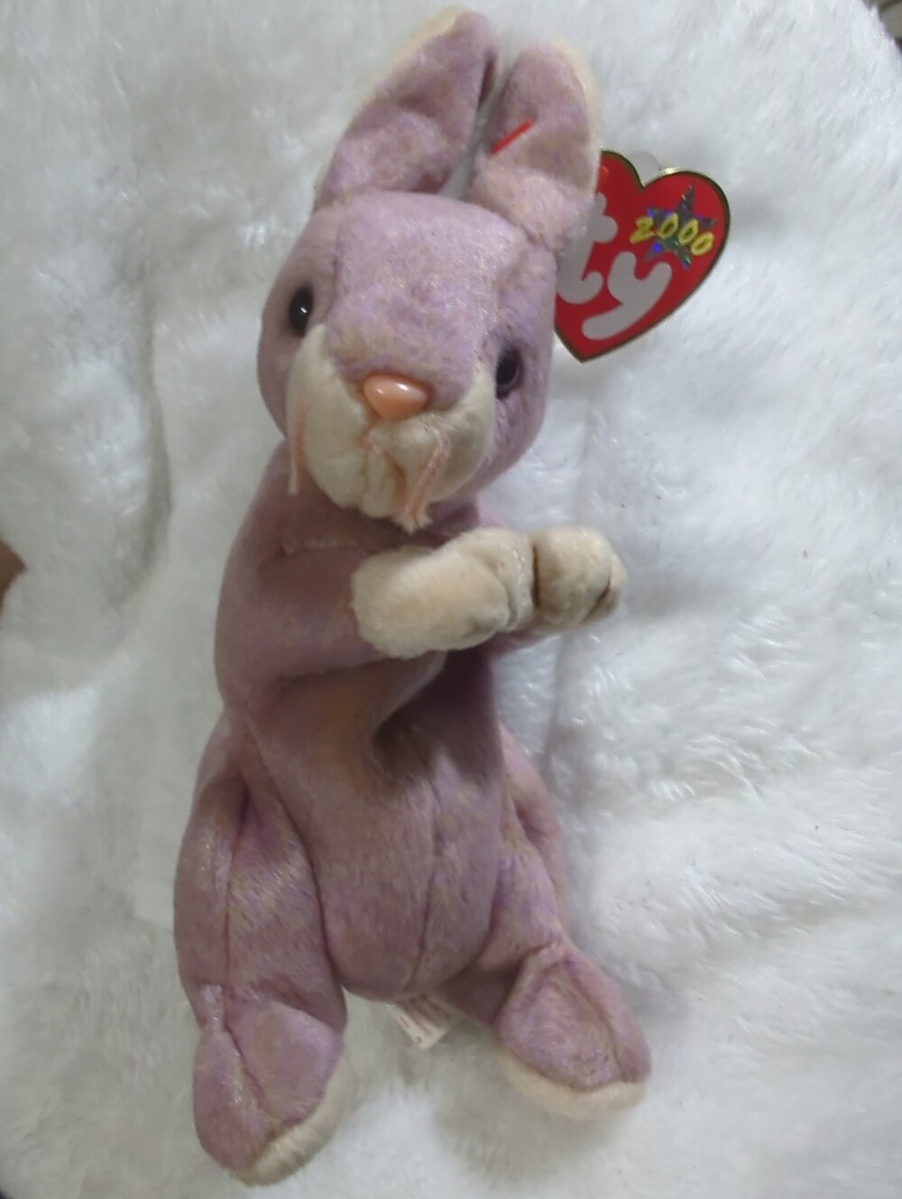 Rare TY Beanie Baby - SPRINGY the Bunny - Tag Error